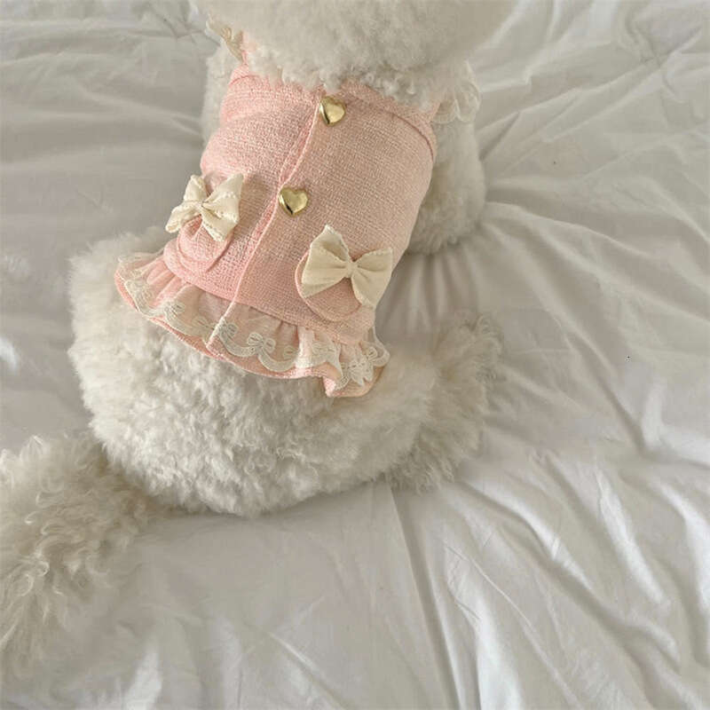 2025 Pet Small and Medium Cat Dog Spring Summer Clothes Set Dresses and Hat