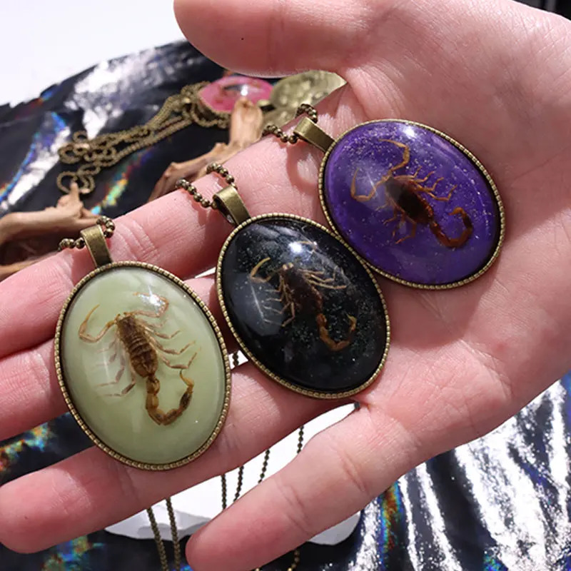 Resin Scorpion Insect Necklace for Women Men Unisex CyberPunk Gothic Couple Jewelry Gift HUANZHI Oval Pendant Neck Chain 250729