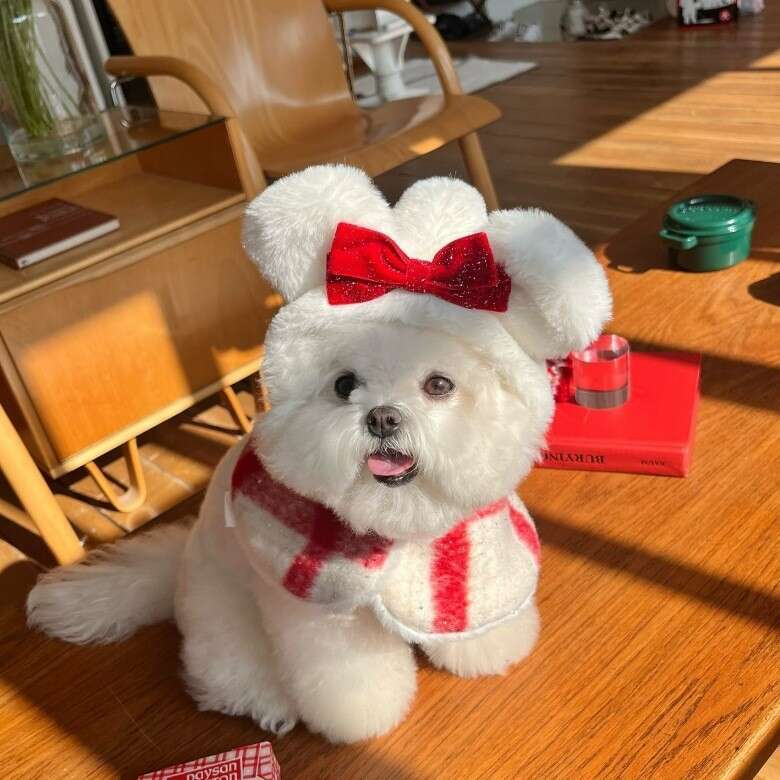 New Autumn Winter Dog Christmas Sweet Heart Plaid Cotton Dress Cat Pet Clothes