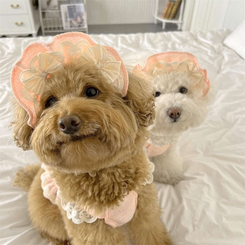 2025 Pet Small and Medium Cat Dog Spring Summer Clothes Set Dresses and Hat