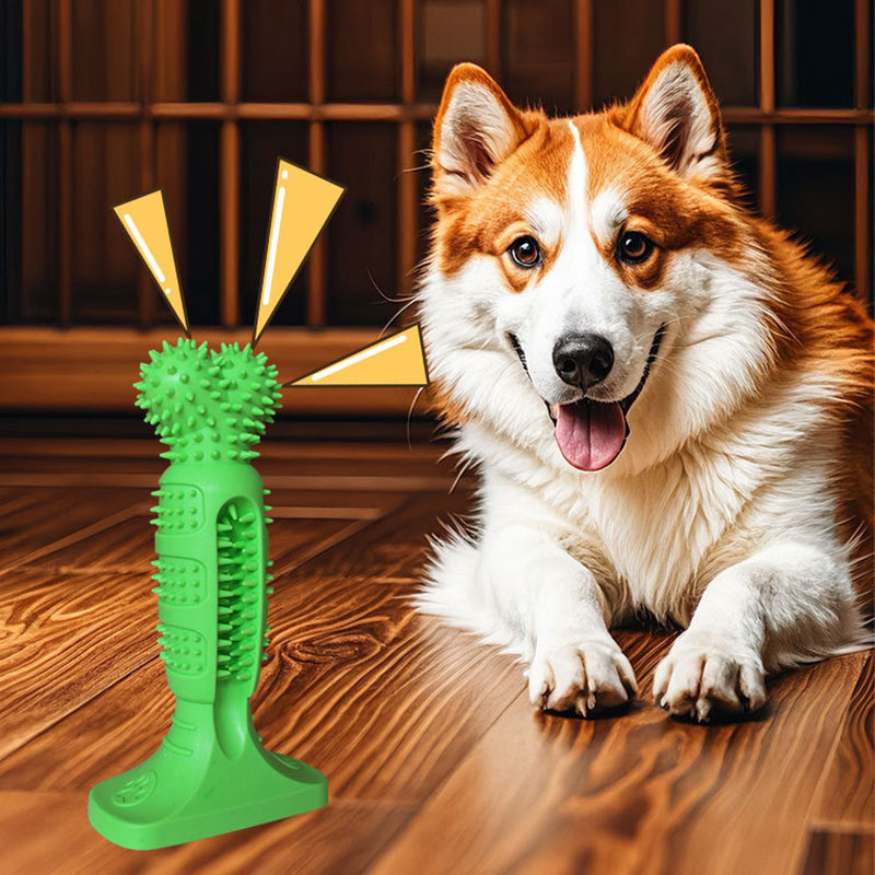Dog chewing stick toothbrush - cannot damage teeth, oral hygiene pet toy Grinding Teeth Creative Chew Toy For Small Medium Dog