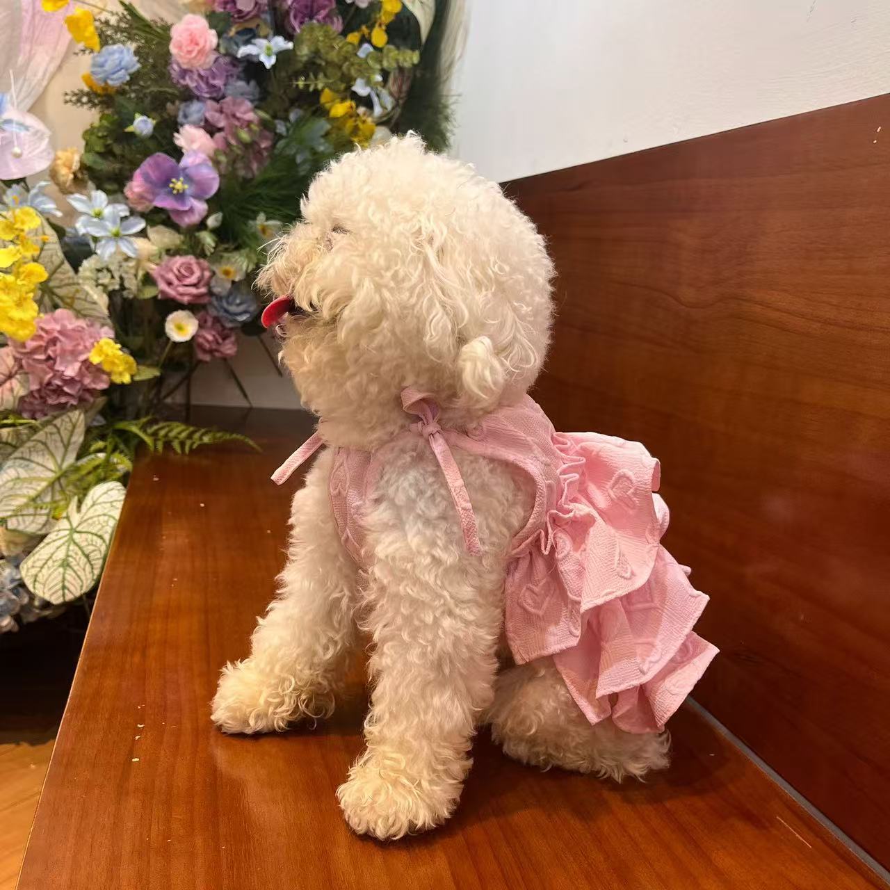 T864 Spring and summer new love sling Bichon Teddy dog cake skirt bow