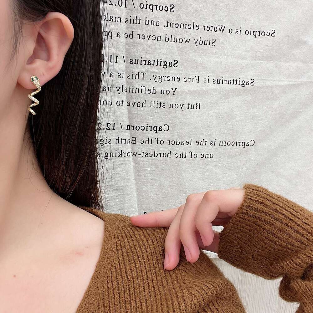 Autumn Winter New Exquisite Fashion Light High-end Micro-inlaid Zircon Snake Spiral Personality Versatile Earrings for Women 603