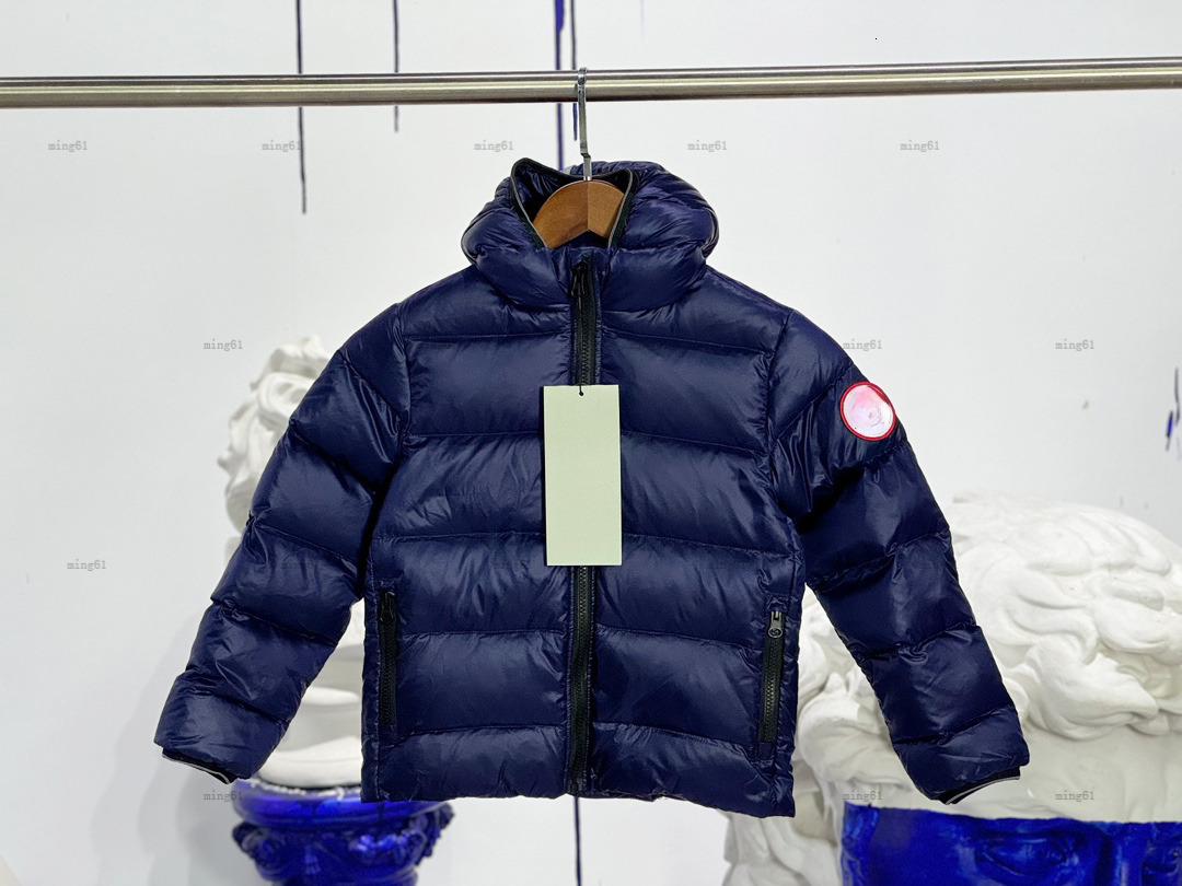 Brand kids down coat winter hooded baby Jackets kids designer clothes Bidirectional zipper girl boys Outwear A976X27N228