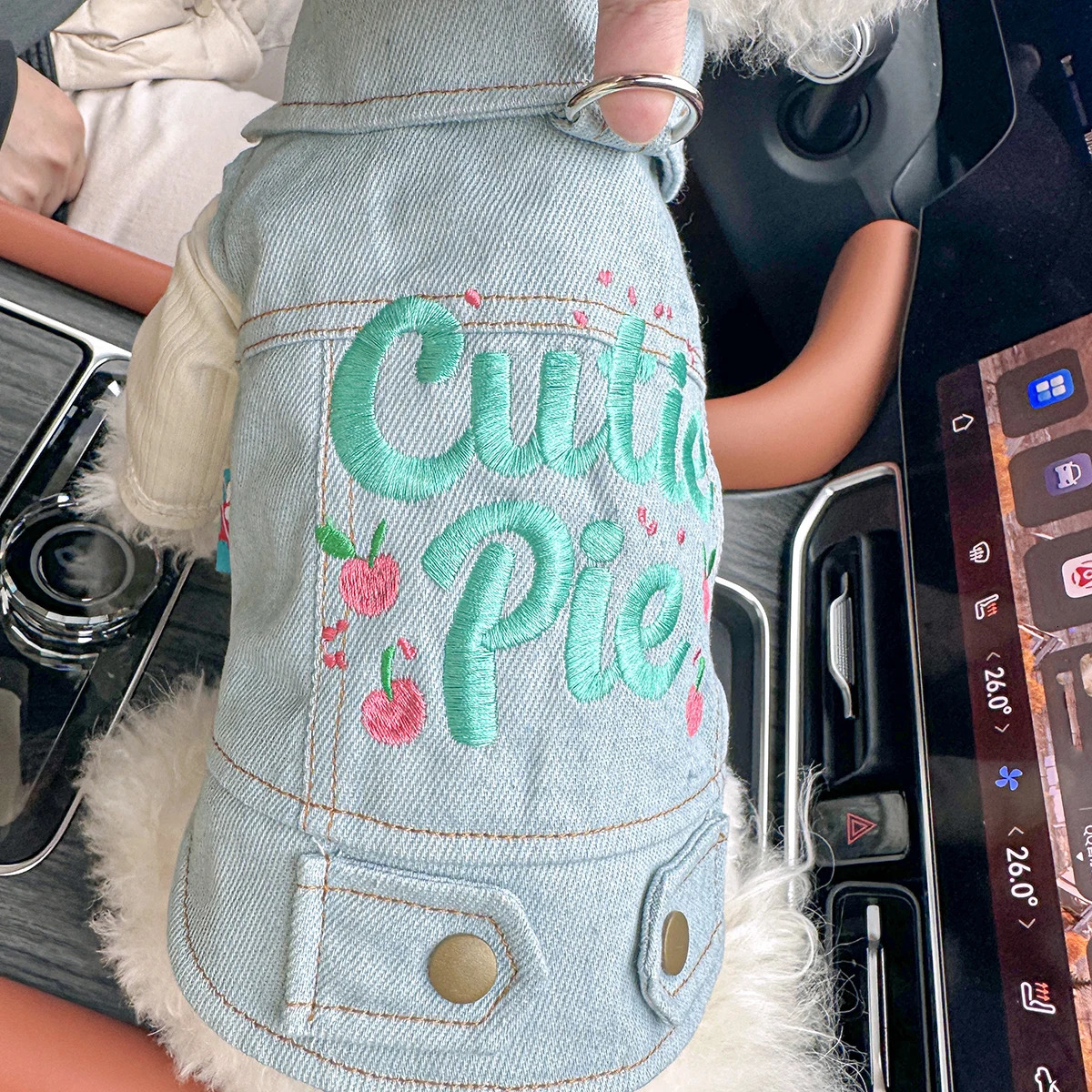 Sweetheart Pie Jacket Pet Clothes Dog Cat Anti-Hair Loss Summer Sleeveless Handsome Blue Traction Vest 250729