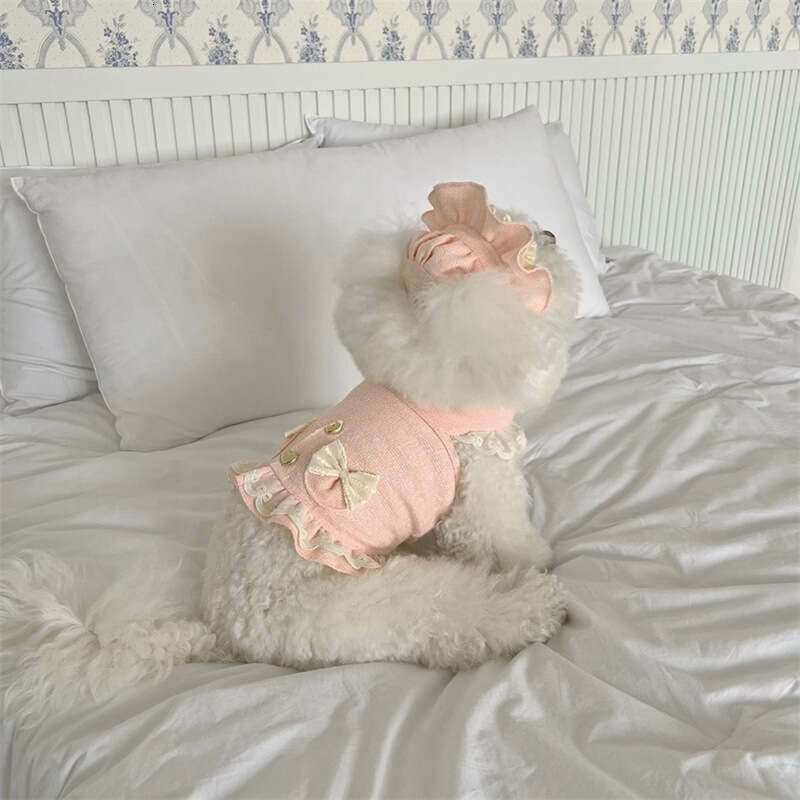 2025 Pet Small and Medium Cat Dog Spring Summer Clothes Set Dresses and Hat