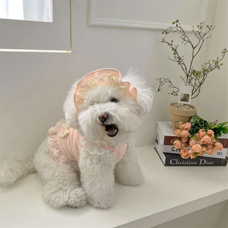 2025 Pet Small and Medium Cat Dog Spring Summer Clothes Set Dresses and Hat