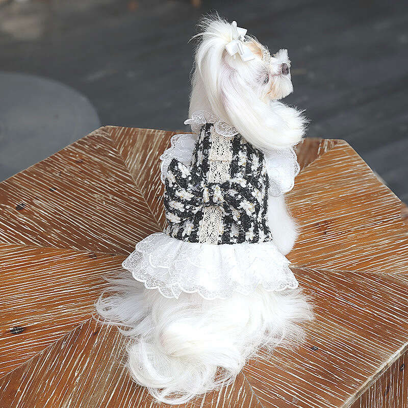 Amberini High-End Dog Pet Clothes Small Dogs Black and White Lace Dress