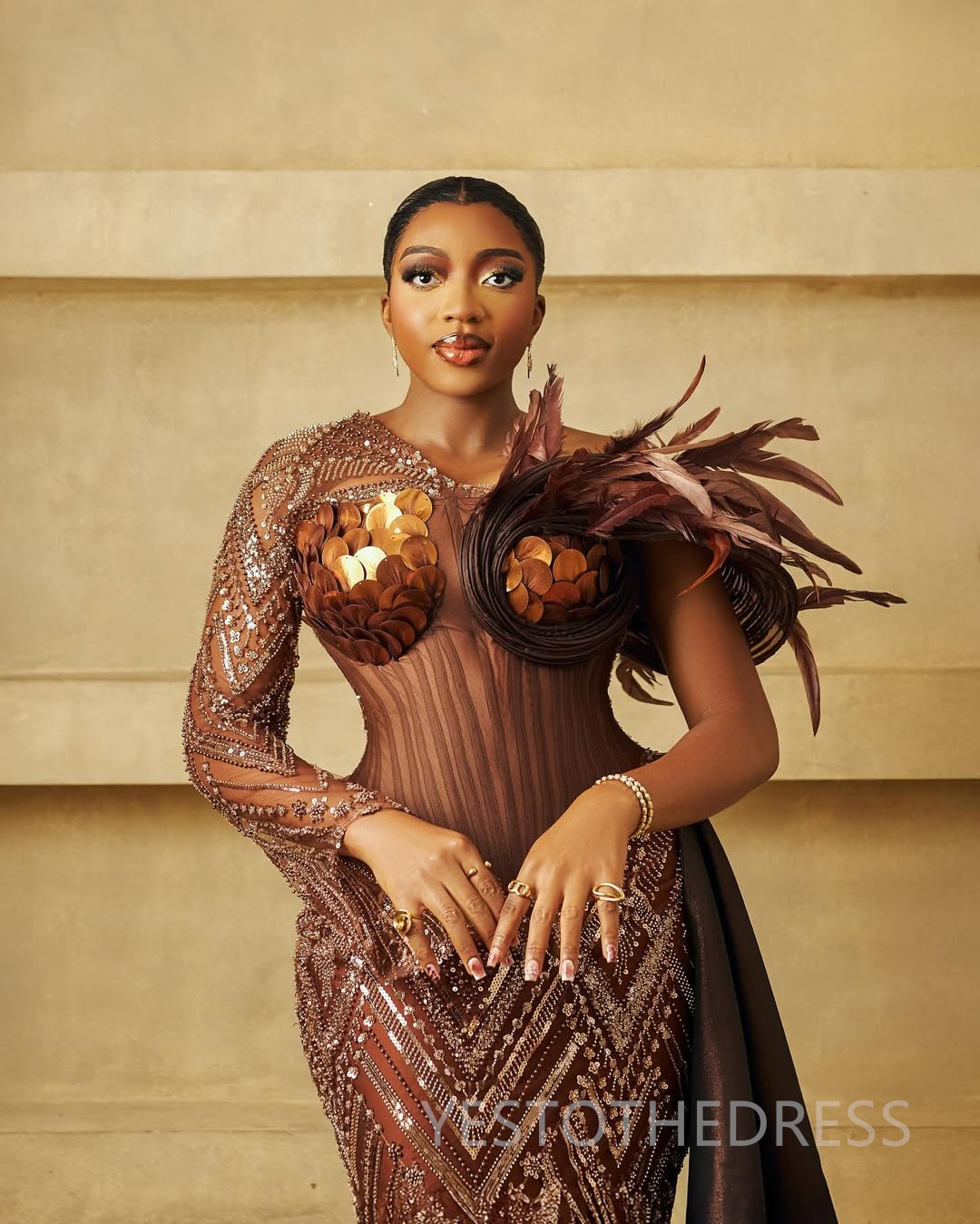 2025 Plus Size Brown Prom Dress Feather Evening Dresses Formal Gowns Beaded Lace Long Sleeves Pleated Pearls Birthday Dress Second Reception Gowns AM2