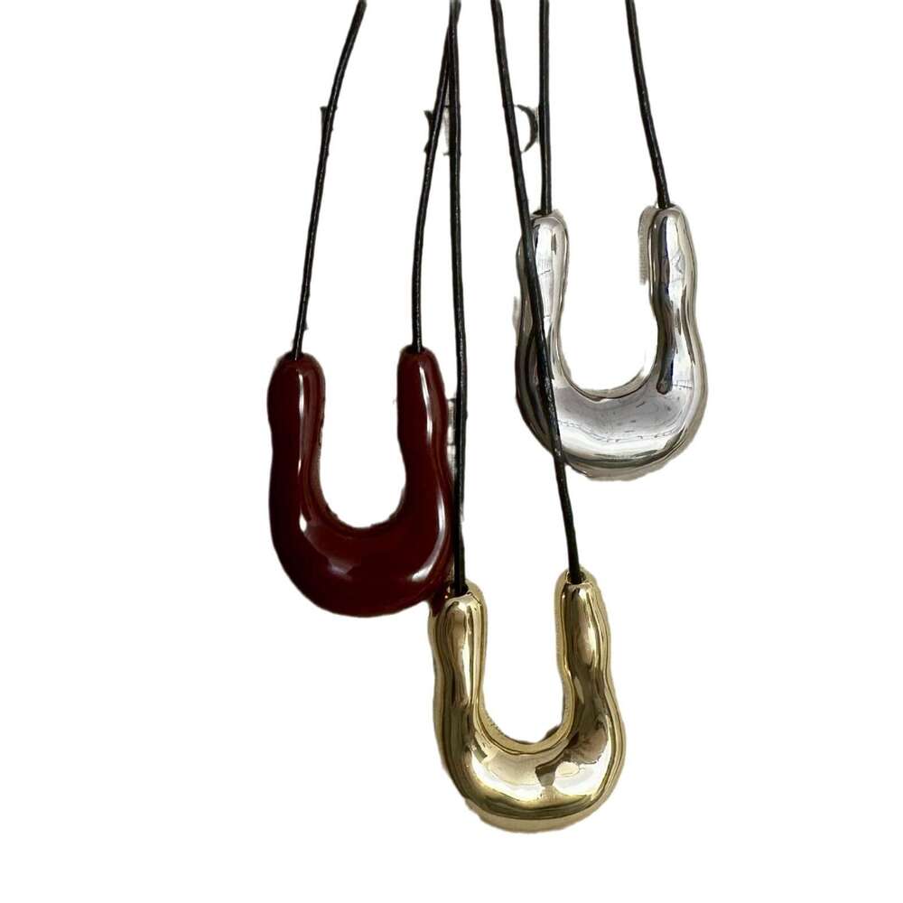 U-Shaped Metal Horseshoe Necklace for Women, Autumn and Winter Light Niche Long Pendant Accessory with a Sense of Sophistication, Sweater Chain 790