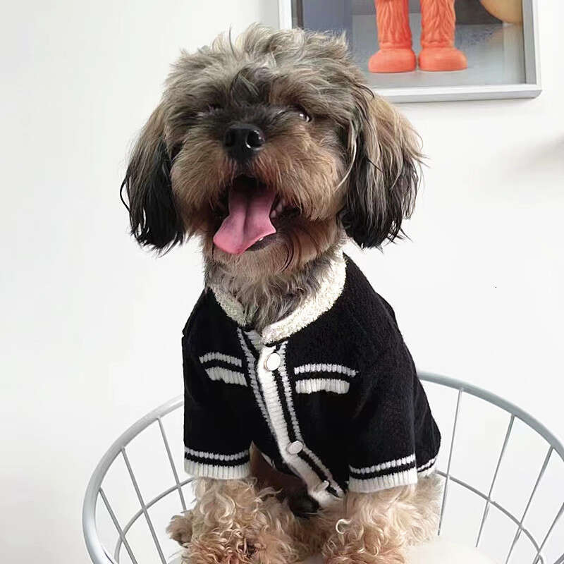 Dogs Apparel Designer dog clothes Autumn Winter Pet Sweater Pearl Style Knitted Warm Fashion Dog Cat wear Small and medium sized Pets Clothing