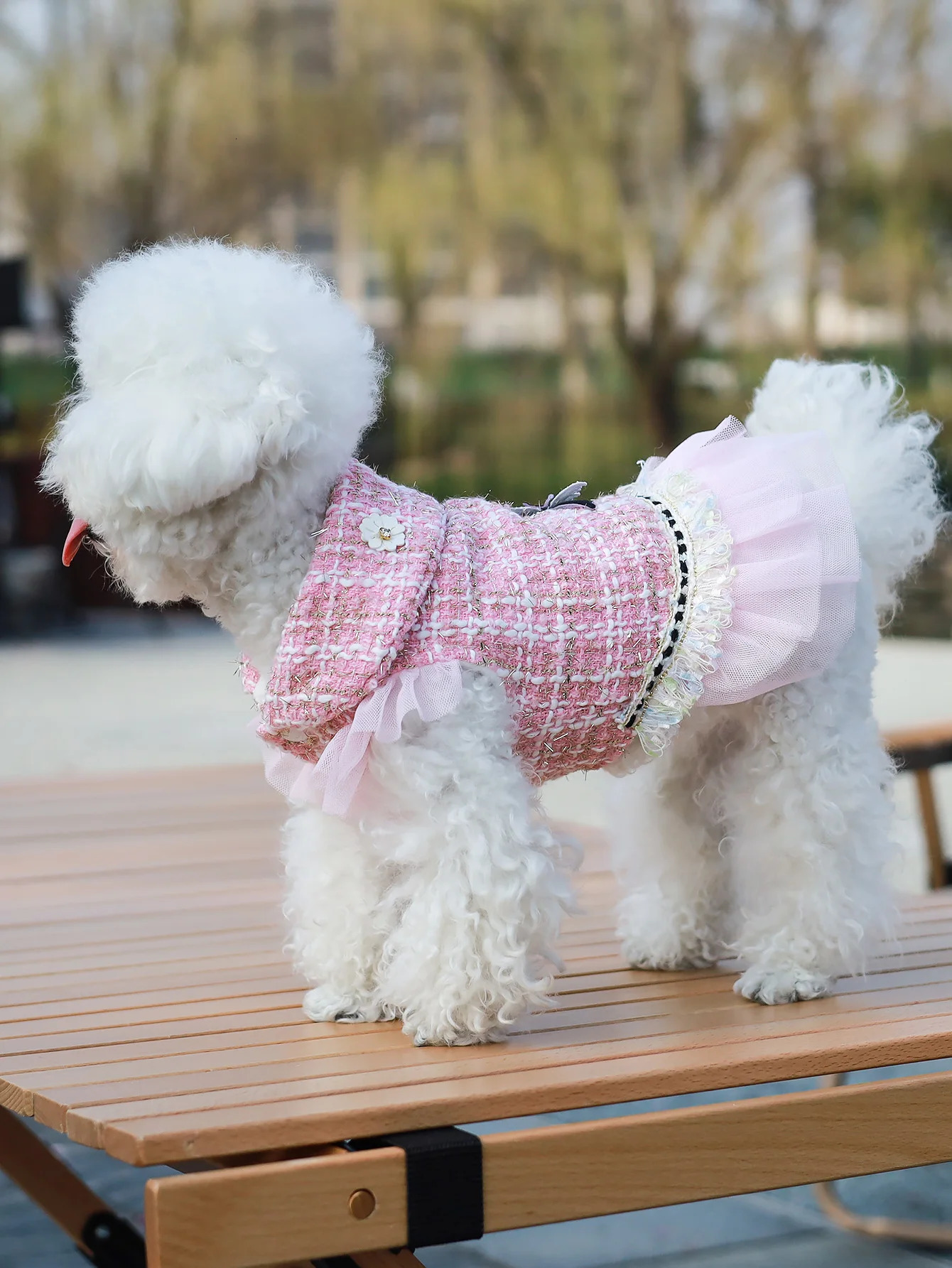 Dog clothes Princess Dress Jacket For Pets Suitable For Poodle Maltese Yorkshire Terrier In Spring And Autumn 250729