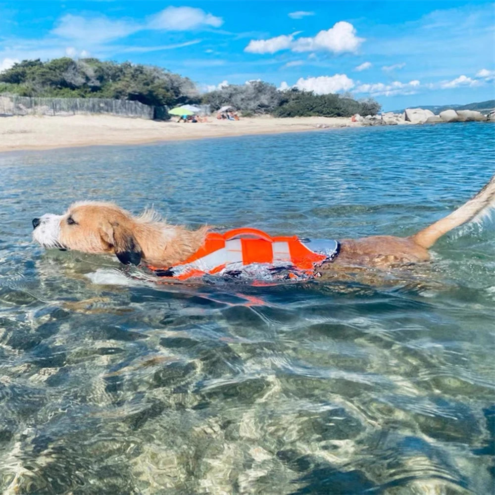 Summer Puppy Dog Life Jacket for Small Medium Dogs Reflective Pet Life Harness Vest Swim Suit French Bulldog Clothes Clothing 250729