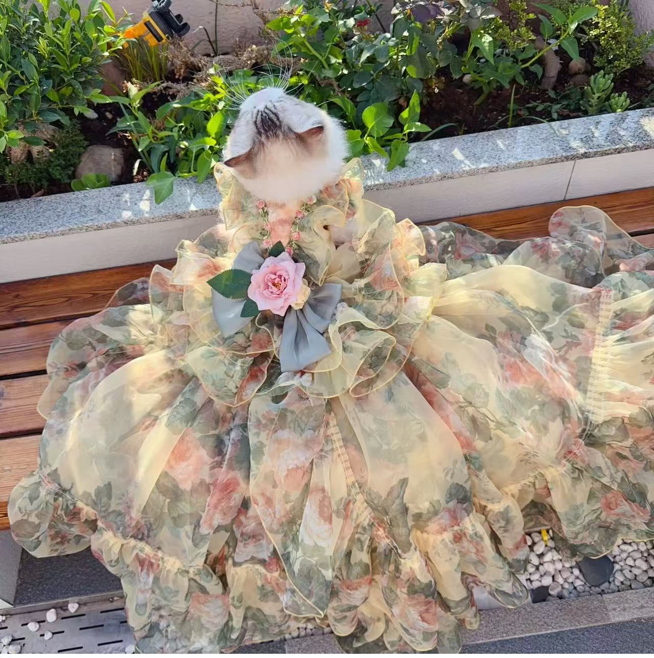 Adorable pet caramel rose heavy-duty flower dress with detachable trailing tail. Original foam pet cat and dog dress.