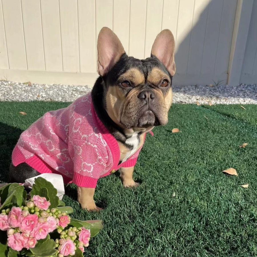Designer Dog Clothes Pet Sweater Winter Warm Knitted Cold Weather Pets Coats Pullover Pets Clothing 3e2