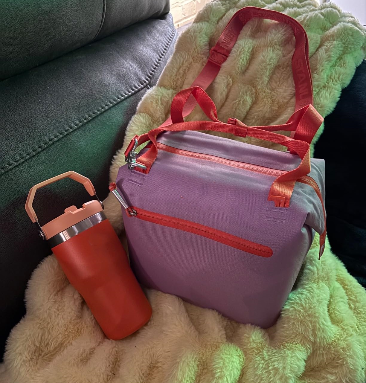 US Stock Lunch Bags All Day Julienne Mini Soft Cooler Bag and Lunch Box 10 Can Recycled Polyester Reusable In Hand