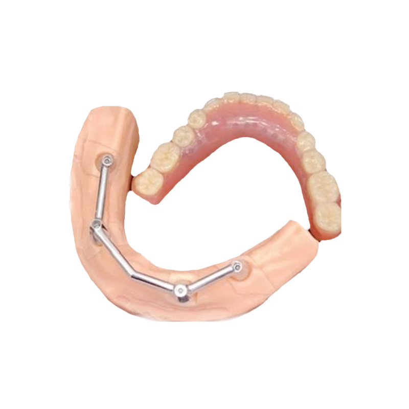 Customizable Oral H… - image