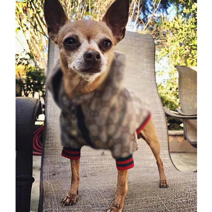 Brand Designer Letters Printed Dog Apparel Cloth Fashion Cowboy Denim Hoodies Cats Dogs Animals Jackets Outdoor Casual Sports Pets Coats Clothes Acces