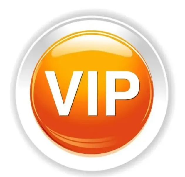 vip pay the price difference link designer's style