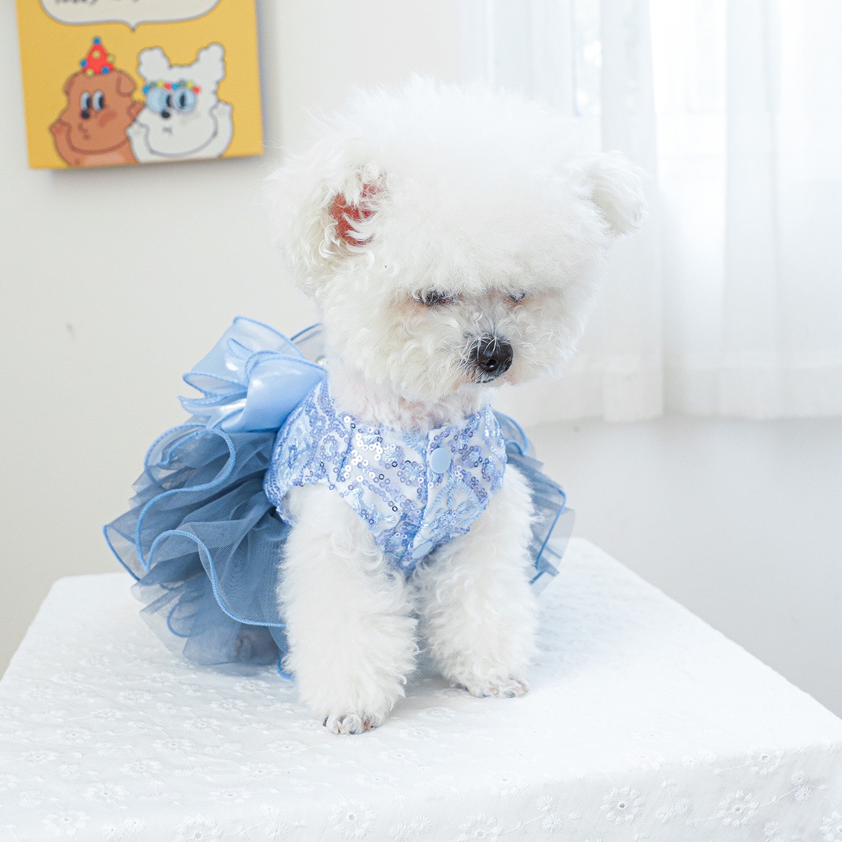Fancy Dog Dresses with Leash Ring, Embroidered Dog Wedding Dress, Bow Puppy Clothes for Small pet Girl Multi-Layer Lace Tutu Cat Outfit