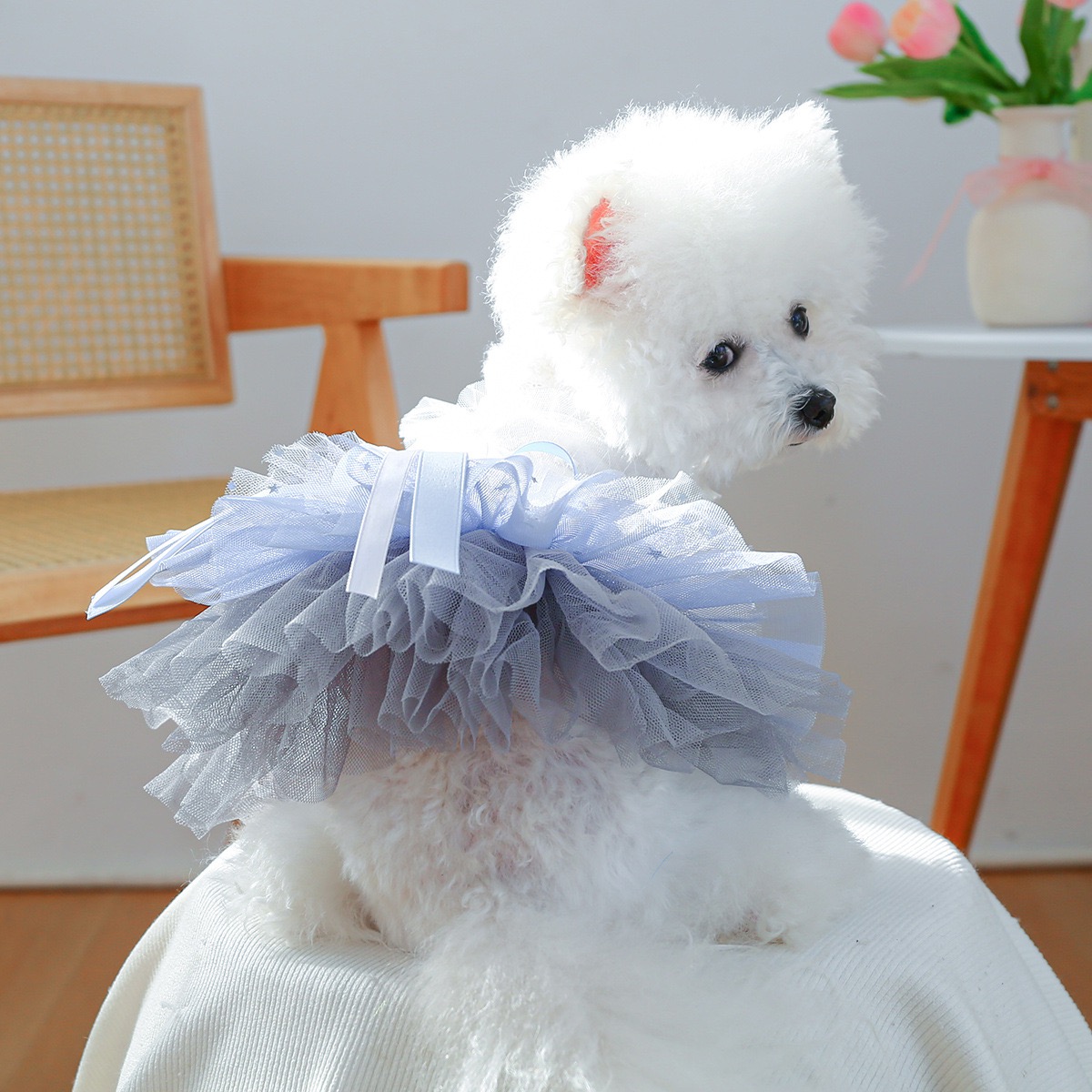 Fancy Dog Dresses with Leash Ring, Embroidered Dog Wedding Dress, Bow Puppy Clothes for Small pet Girl Multi-Layer Lace Tutu Cat Outfit for Kitten