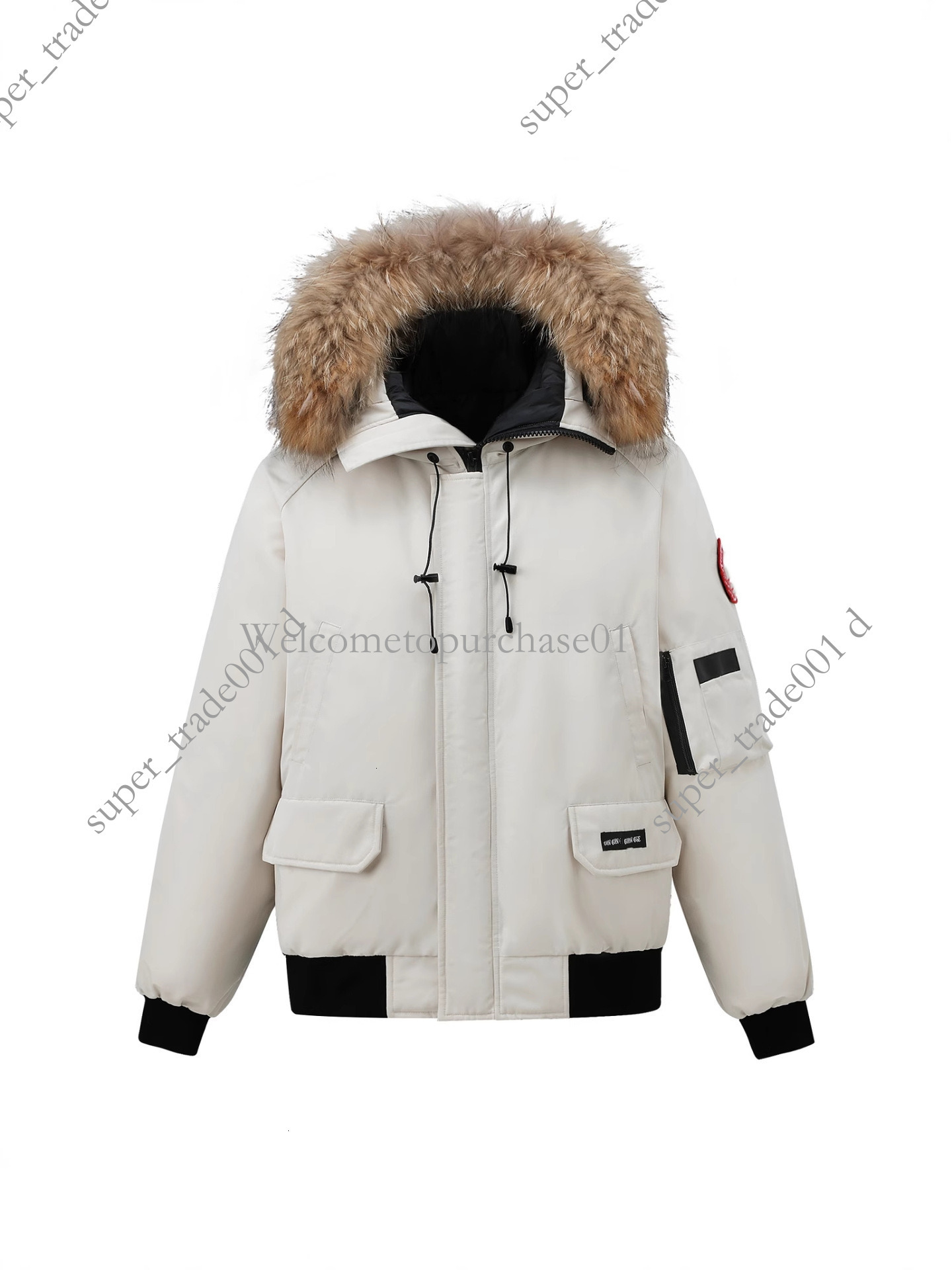 Canada Jacket Goosejackets Mens Canadian Designer Luxury Doudoune High Quality Parka Down Jacket Men's Hooded Winter Jacket Warm Thicken Puffer Jacket eaf
