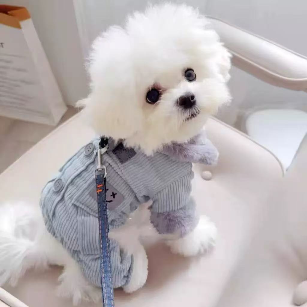T1989 Dog Clothes, Pet 25th Anniversary New Four-Legged, Thickened, Warm Autumn/Winter Style, Bichon Frise/Teddy