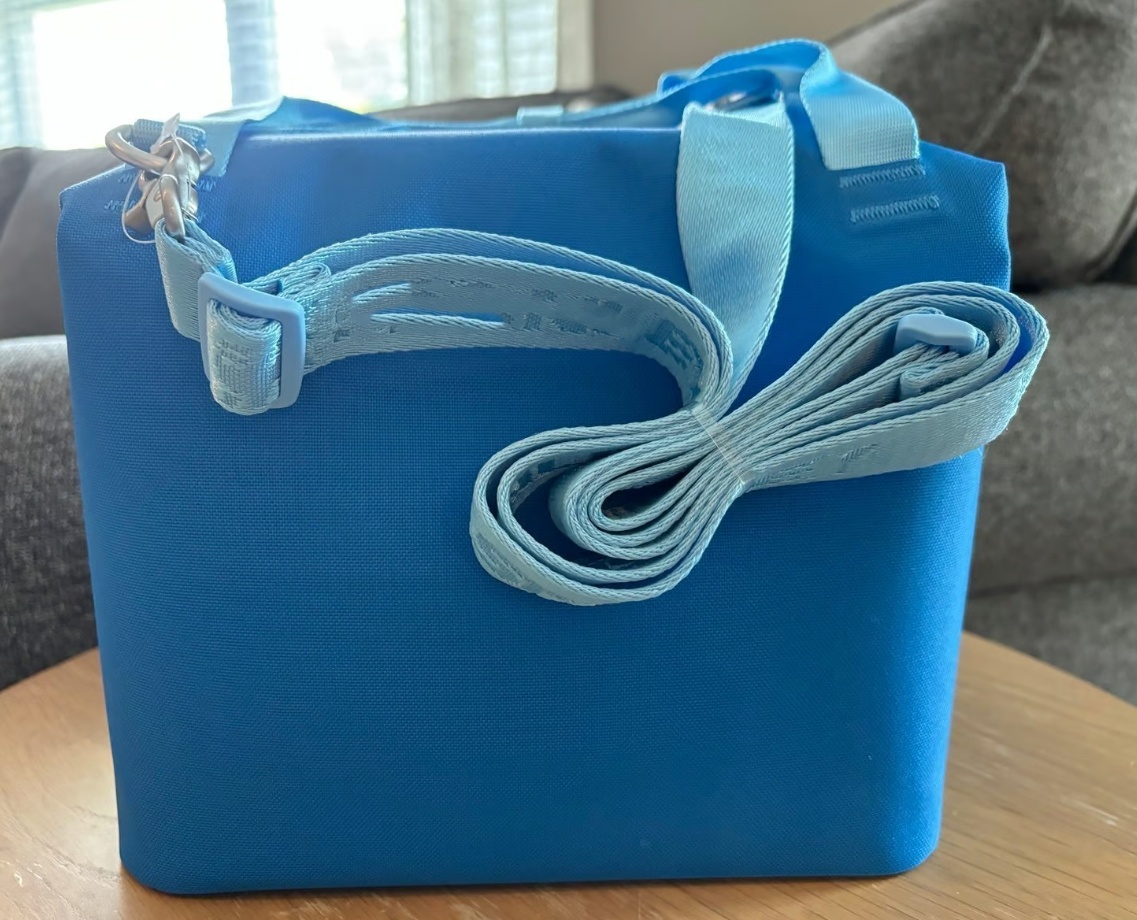 US Stock Lunch Bags All Day Julienne Mini Soft Cooler Bag and Lunch Box 10 Can Recycled Polyester Reusable In Hand