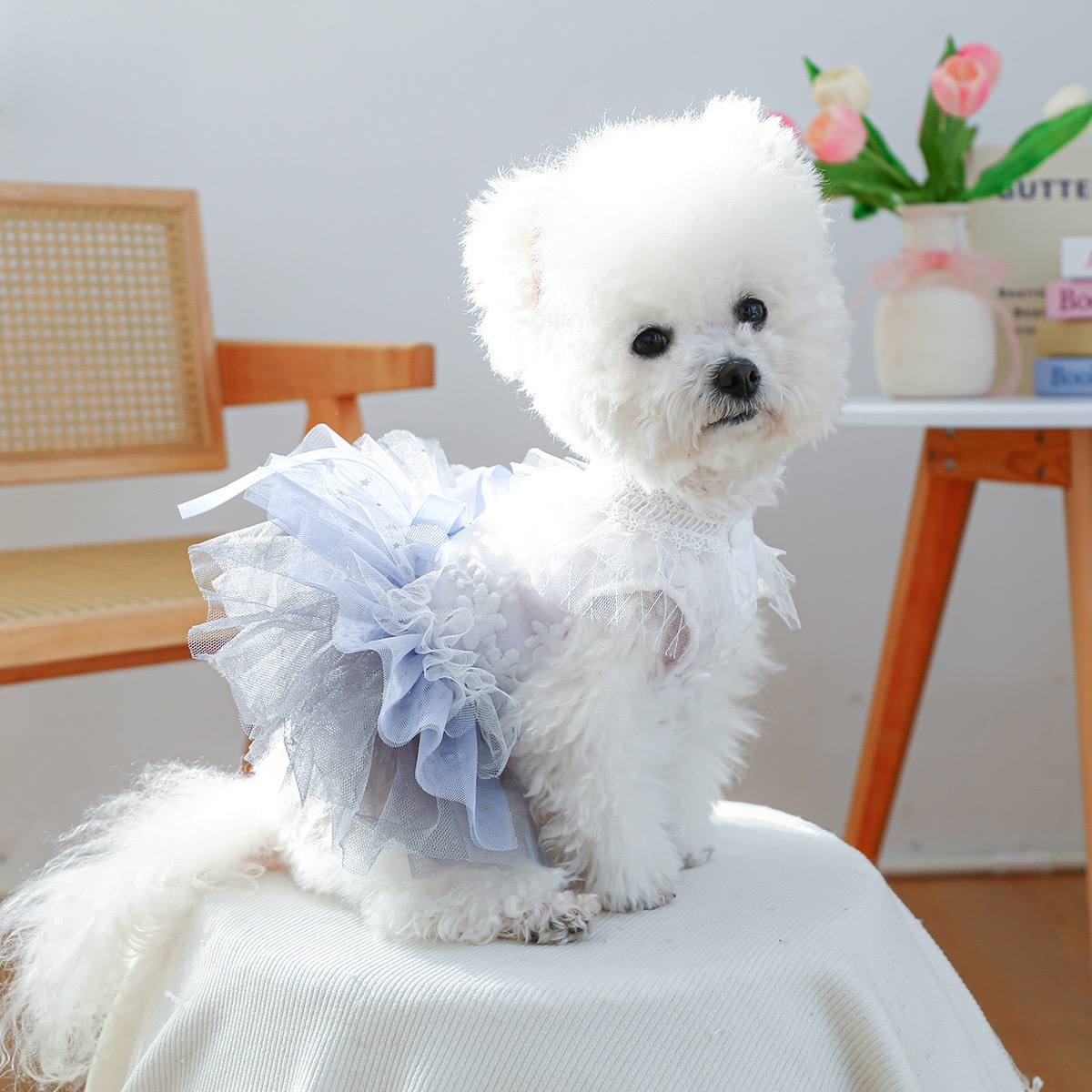 Fancy Dog Dresses with Leash Ring, Embroidered Dog Wedding Dress, Bow Puppy Clothes for Small pet Girl Multi-Layer Lace Tutu Cat Outfit for Kitten