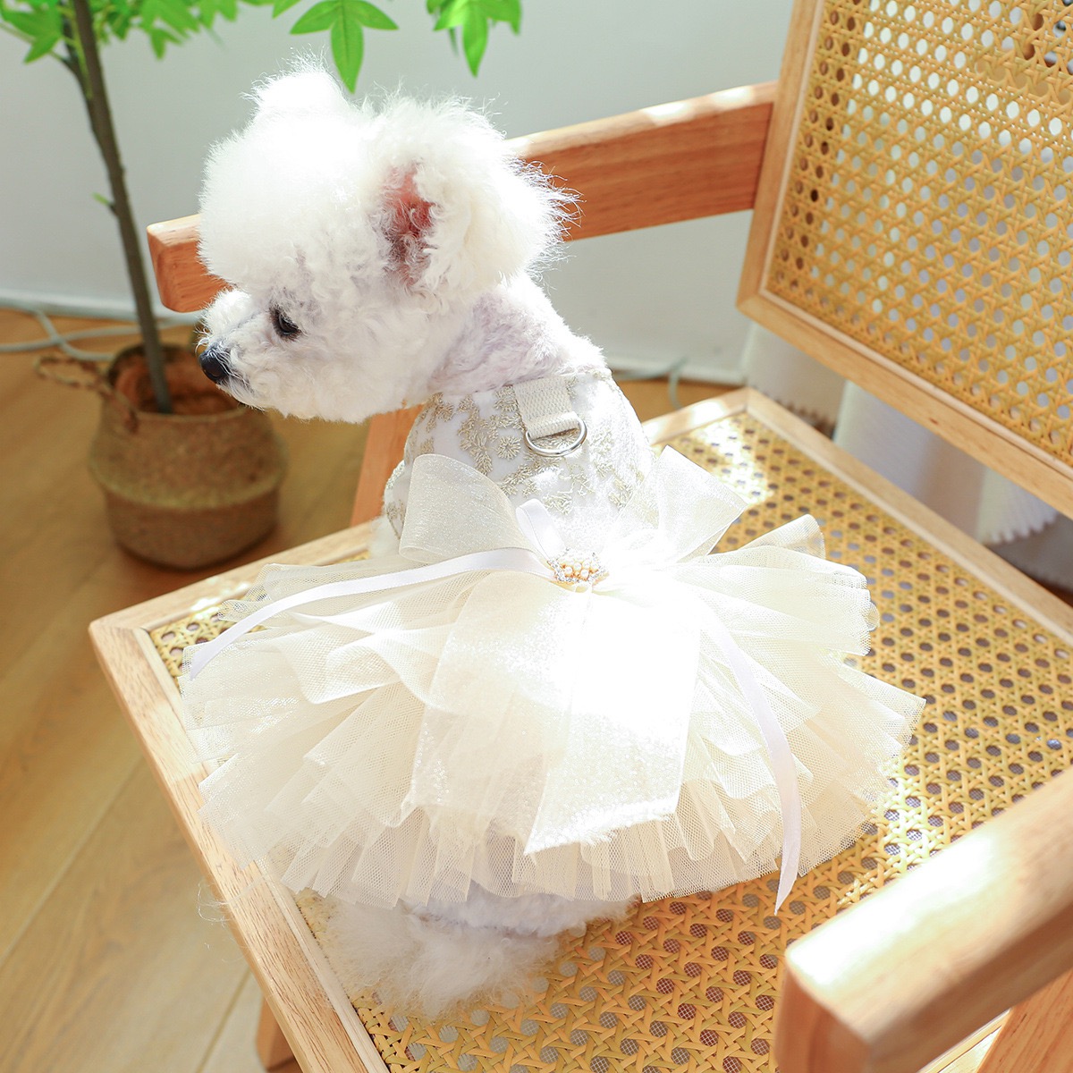Fancy Dog Dresses with Leash Ring, Embroidered Dog Wedding Dress, Bow Puppy Clothes for Small pet Girl Multi-Layer Lace Tutu Cat Outfit for Kitten Chi