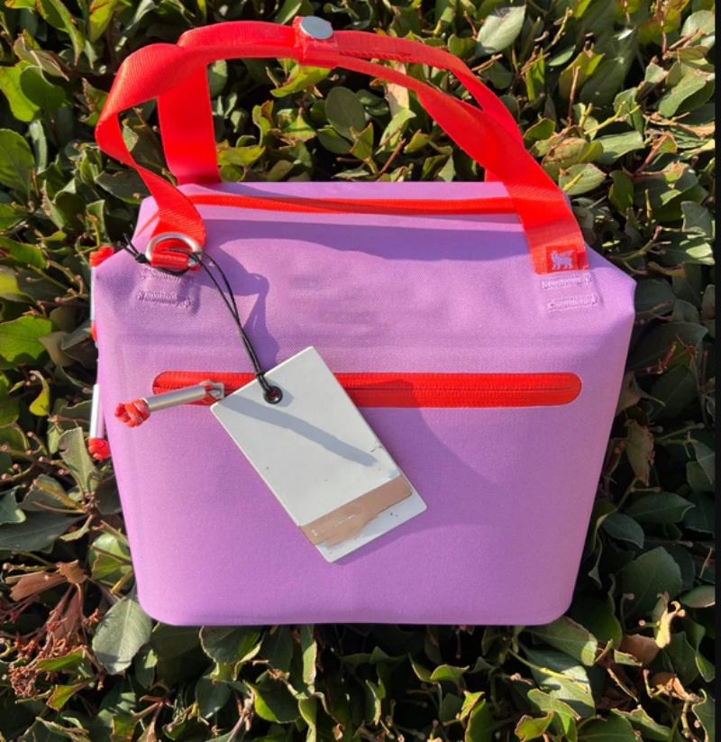 US Stock Lunch Bags All Day Julienne Mini Soft Cooler Bag and Lunch Box 10 Can Recycled Polyester Reusable In Hand