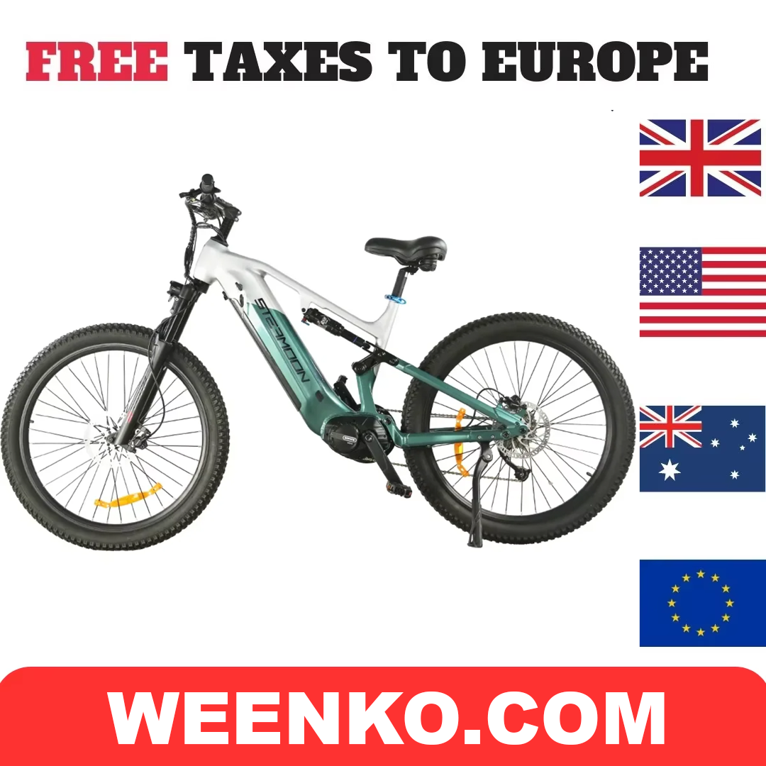 2025 VTT électrique à suspension complète M560 M600 500W e-bike 29 pouces queue eMTB avec frein à disque hydraulique OEM
