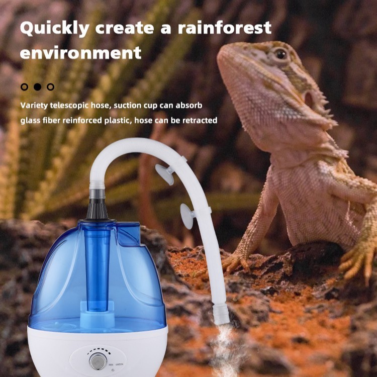 Reptile Pet Nebulizer Turtle Lizard Chameleon Reptile Lizard Care Box Nebulizer Humidifier 230920