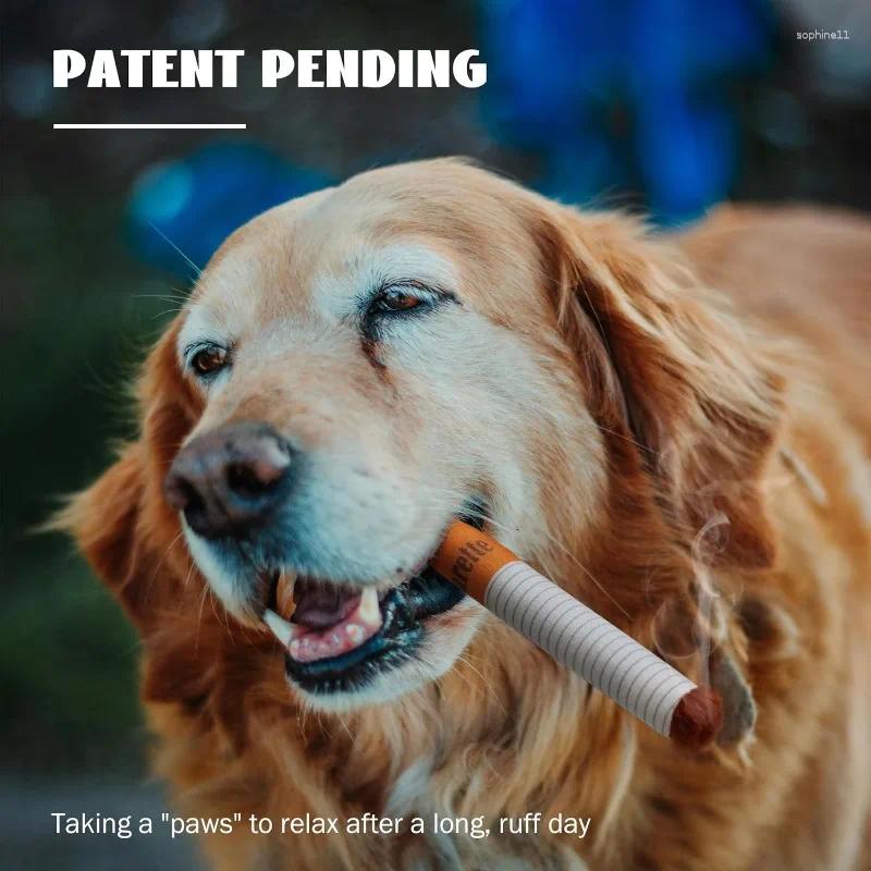 free shipping Update Funny Interactive Plush Dog Toys Creative Giggles Chewing Toy Cigaret Box Pet Gifts