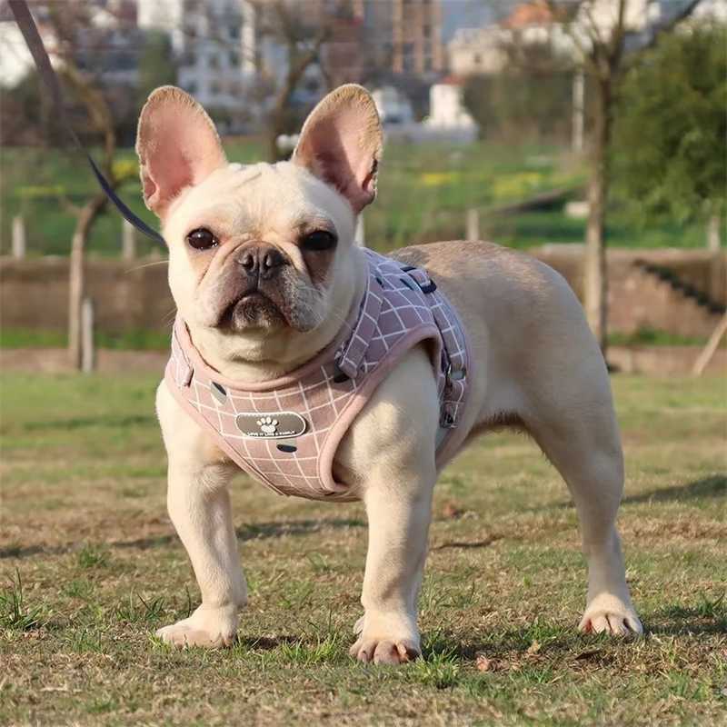 Dog Harness Leash Set Adjustable Reflective Cat Kitten Vest Small Medium Puppy Collar Supplies Pet Best Seller