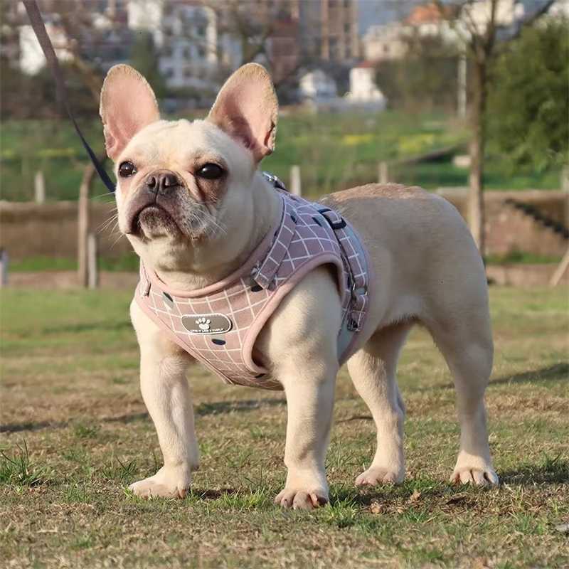 Dog Harness Leash Set Adjustable Reflective Cat Kitten Vest Small Medium Puppy Collar Supplies Pet Best Seller