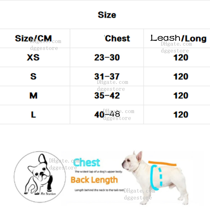 Designer Leash Set, Step-in Air Dog All Weather Mesh, No Pull Harness for Small Dogs, Cat Secure with Hook & Loop Fastener, Buckle, Double D-Rings, L 