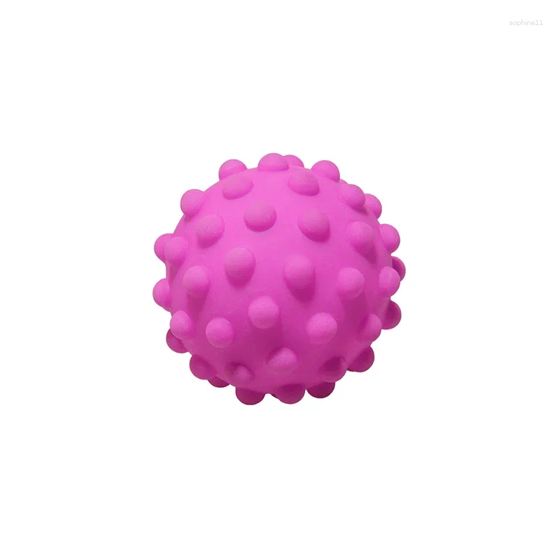 Update Pet Dog Toys For Small Dogs Ball Puppy Chew Chihuahua Yorkies Squeak Balls Accessories Pt3015