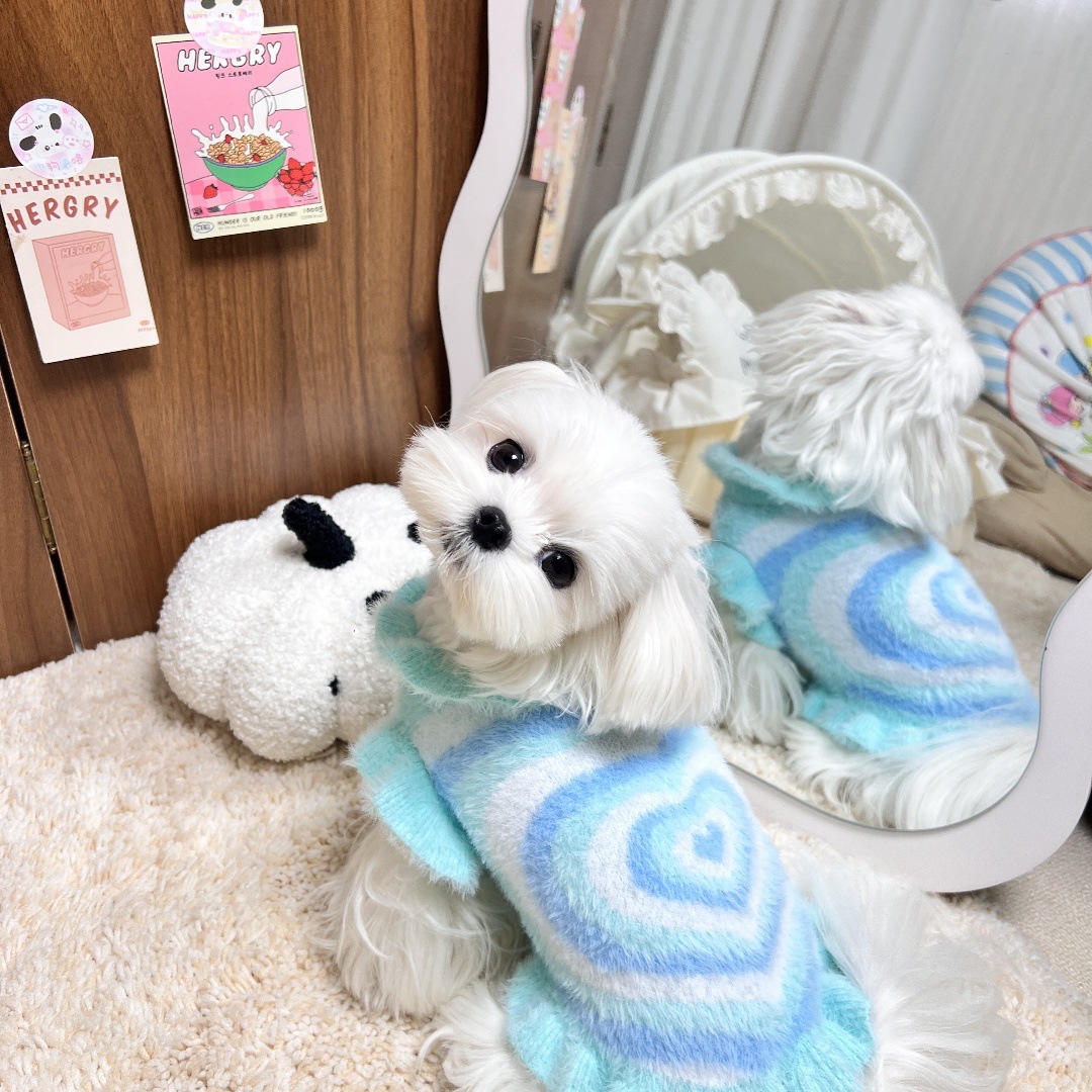 Cute Heart Pattern Pet Sweater, Soft Knit Dog Clothes, Warm Winter Apparels, Fashionable Puppy Sweater with Ruffled Edges, Cozy Pet Outfit for Maltese