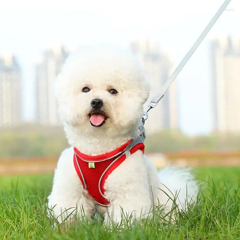 Update Medium Small Dog Walking Leash Cat Vest With Breathable Nylon Chest Strap And Reflective Collar XL Size Gear