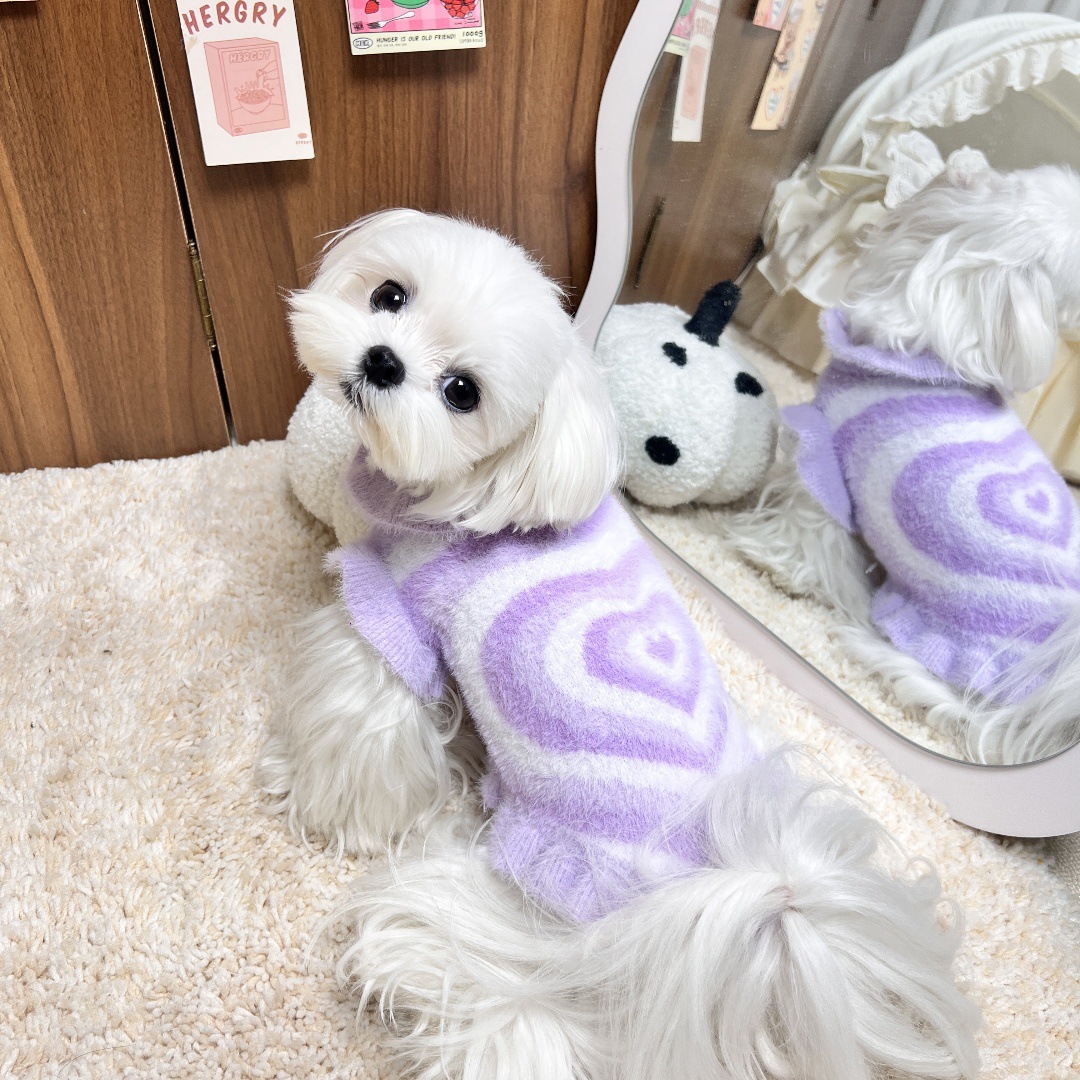 Cute Heart Pattern Pet Sweater, Soft Knit Dog Clothes, Warm Winter Apparels, Fashionable Puppy Sweater with Ruffled Edges, Cozy Pet Outfit for Maltese