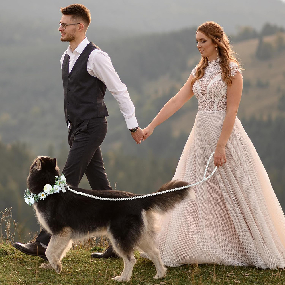 Update Dog Flower Collar And Traction Rope Set Pearls Beaded Leash Collars Wedding Attire Wreath Po Pet Prop Accessories