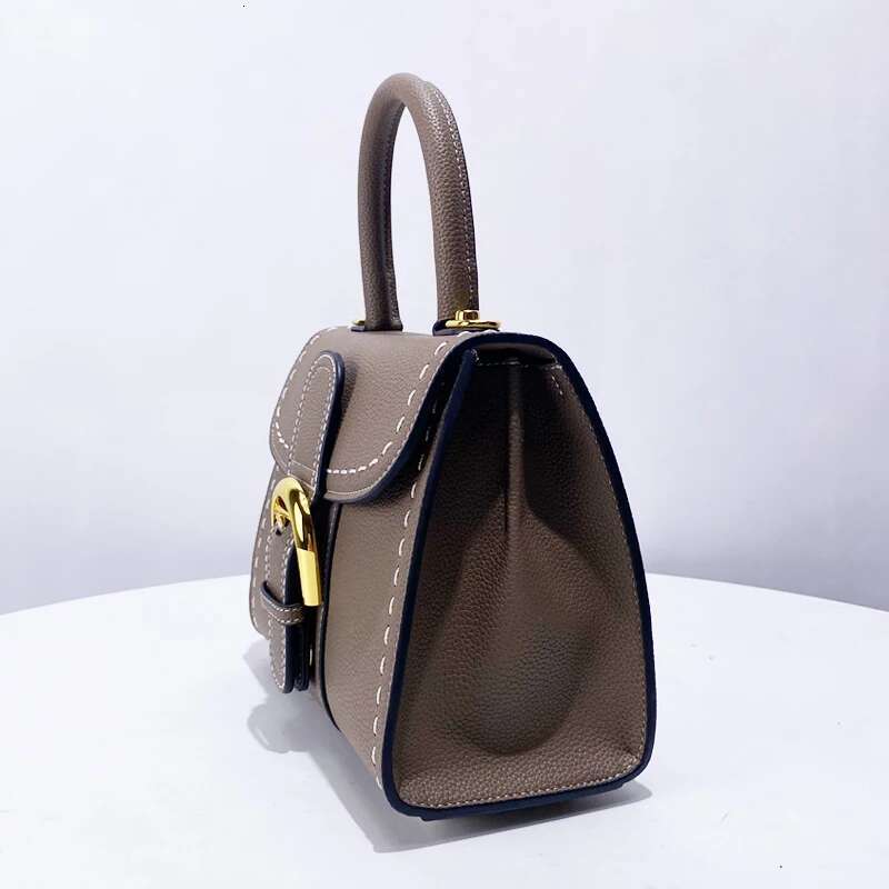 Small Square Messenger Bag For Women Designer Handbag And Purse 2024 New In Vintage Simple Commuting Shoulder Crossbody