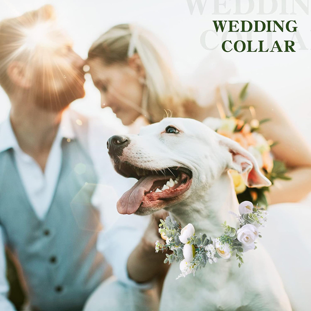 Update Dog Flower Collar And Traction Rope Set Pearls Beaded Leash Collars Wedding Attire Wreath Po Pet Prop Accessories