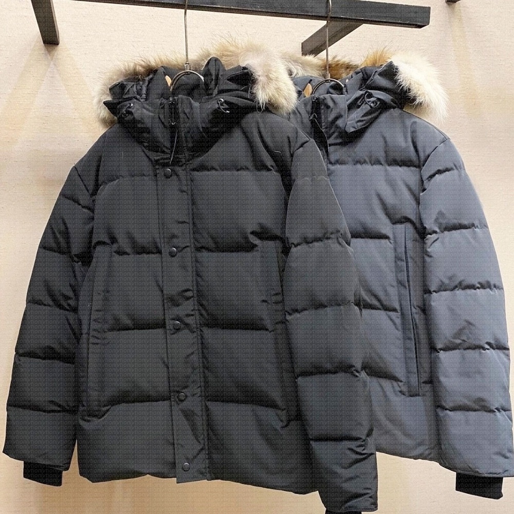 Mens Canada Winter … - image