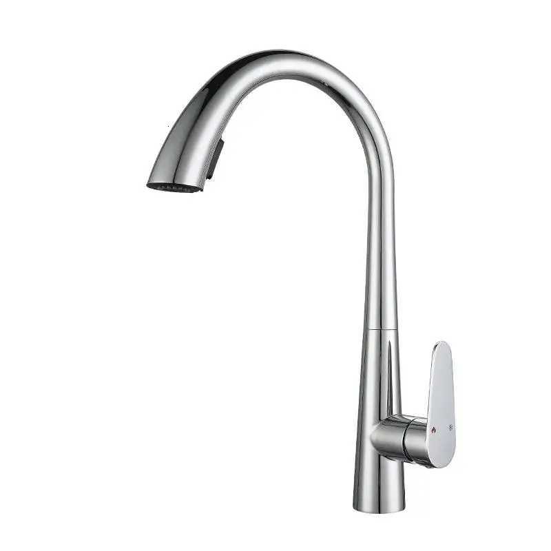 Kitchen Hot and Cold Faucet Pl-Out Stainless Steel Dual Outlet Sink Faucet Mixer Tap 360-Degree Rotatable Kitchen Faucet Y251104
