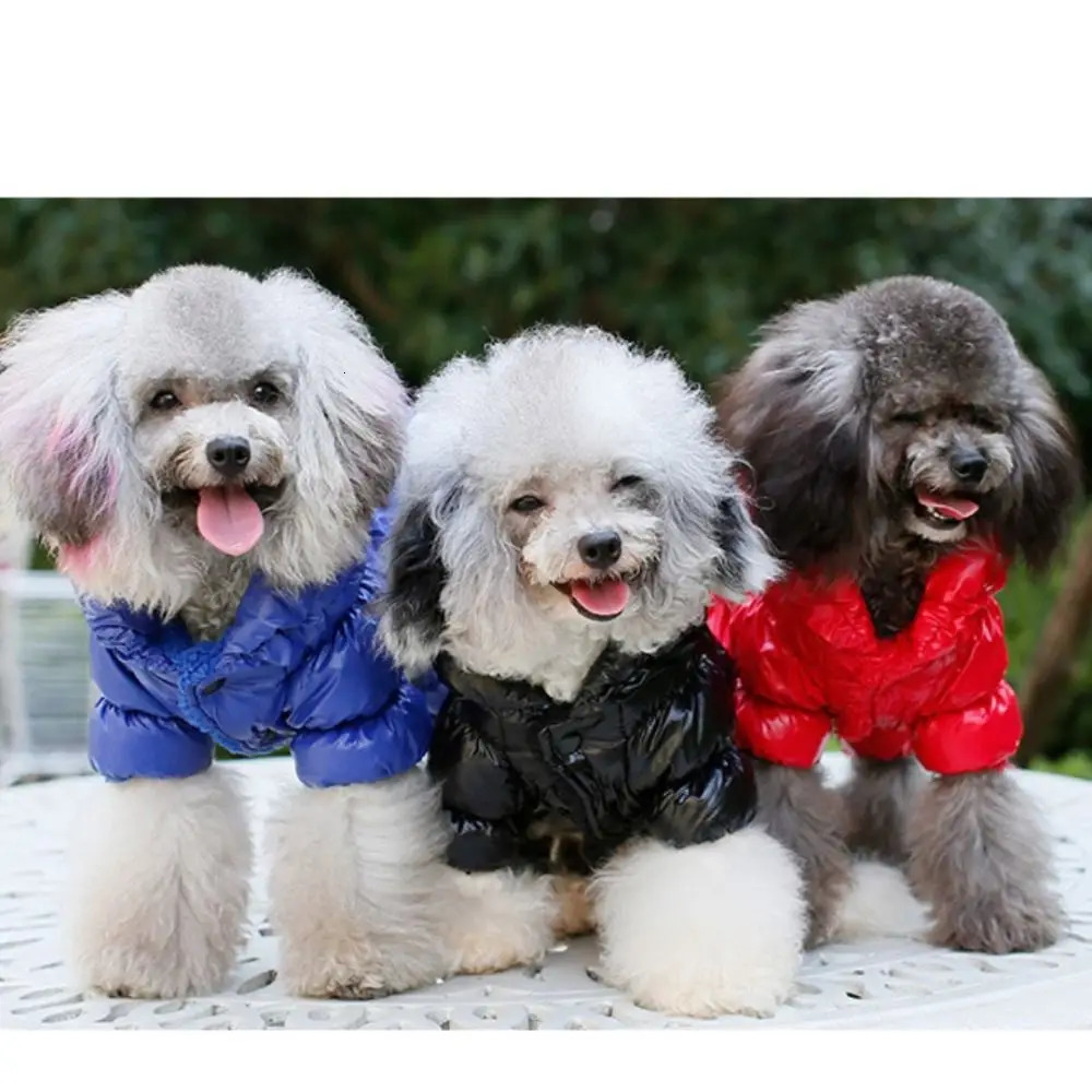Dog Cat Pet Clothing Faux Leather Thicken Warm Down Jacket Waterproof Clothes for Small Medium Dogs Puppy Coat 251103 - view 5