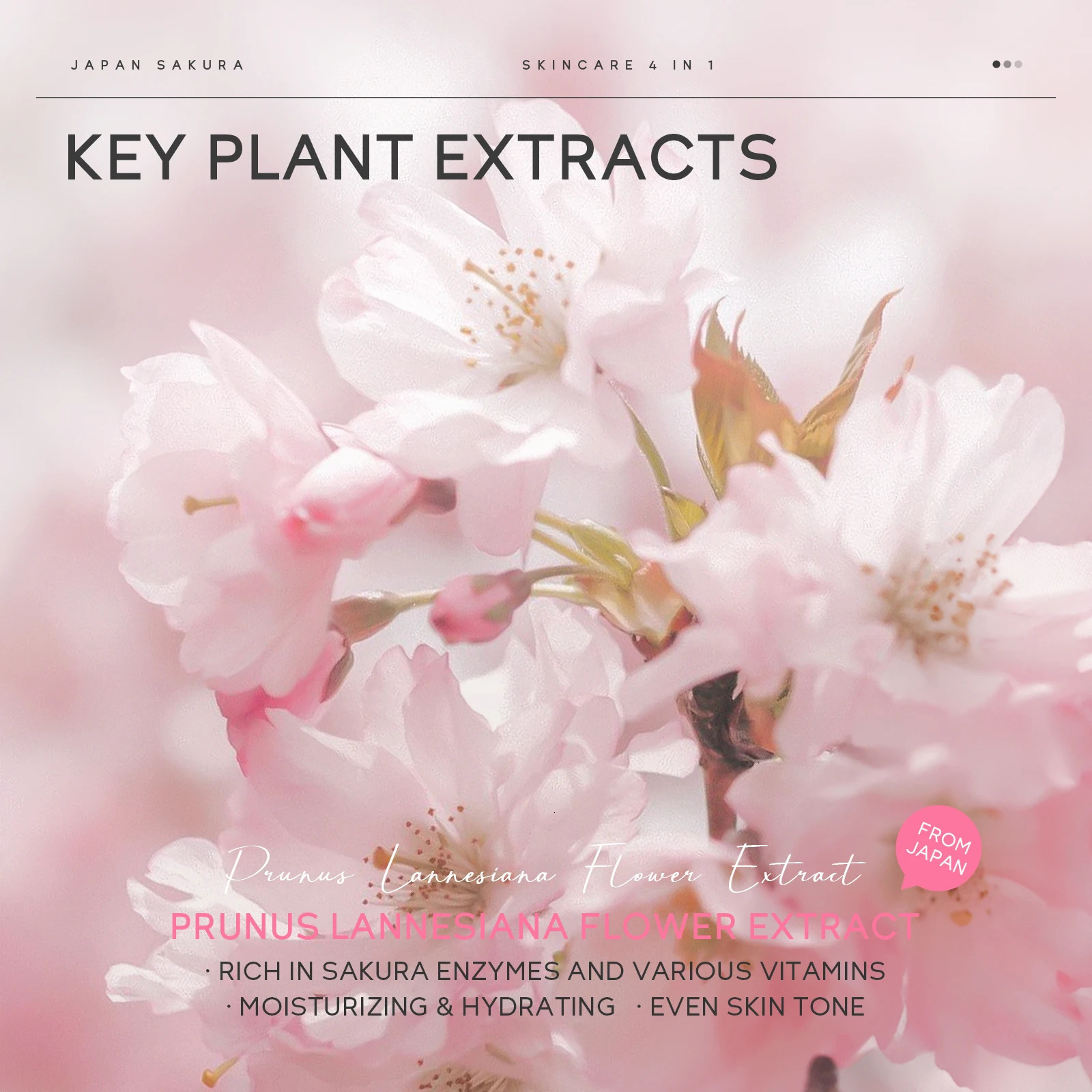 LAIKOU Japan Sakura Skincare Set 4PCS Aging Kit Smoothing Radiance Boosting Facial Kit Gift Set 251030