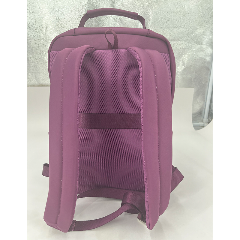 Multi - Compartment Anti - Splash Backpack with Convenient Charging Port, Customizable Colors, Large Capacity for Travel & Daily Use- DH015