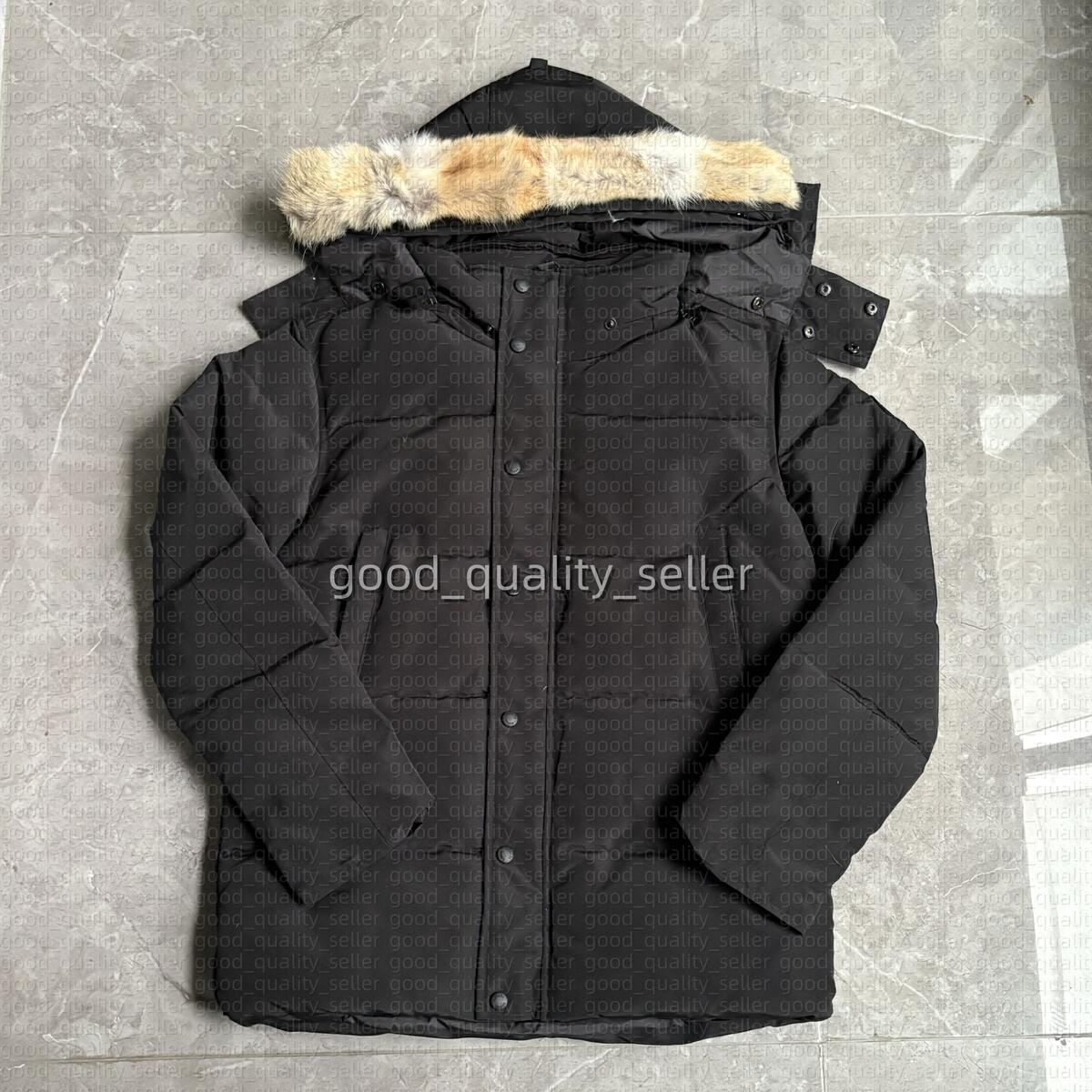 Men Jackets Down Wi… - image